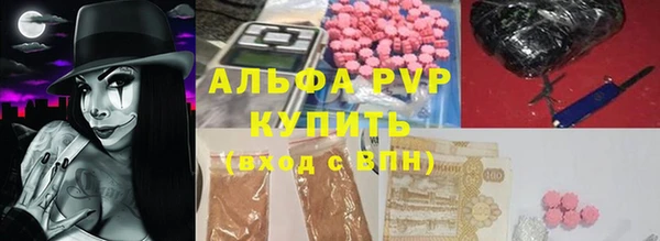 прущие грибы Ладушкин