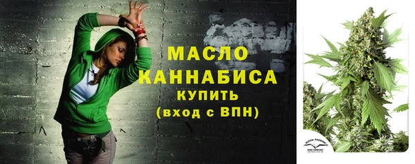 дмт Протвино