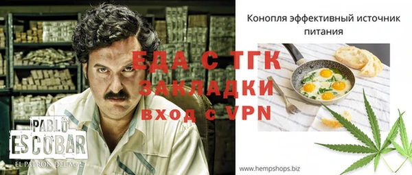 прущие грибы Ладушкин