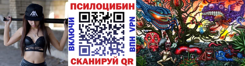 цены   Томмот  Галлюциногенные грибы MAGIC MUSHROOMS 