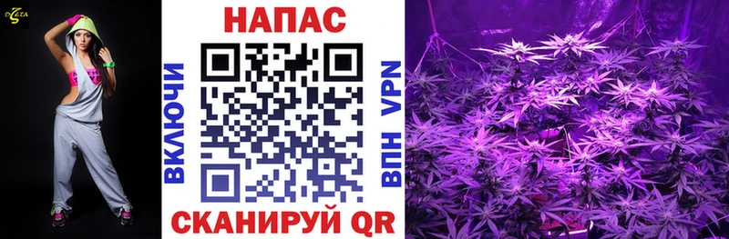 МАРИХУАНА SATIVA & INDICA Томмот